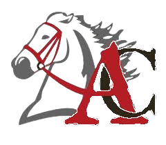 ACA Christmas Luminaries